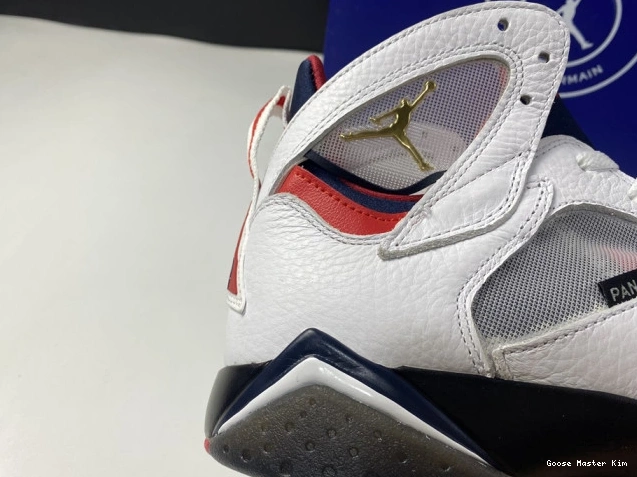 Jordan PSG 7 CZ0789-105 Air 0529